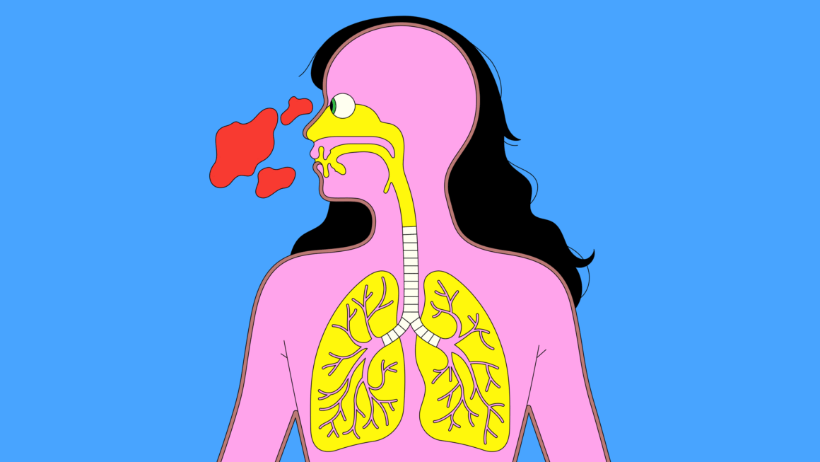 Human Lungs, Immune System and Respiratory Disease