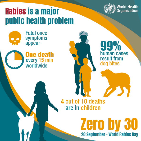 Rabies Vaccination: Protecting Lives with Public Health Initiatives